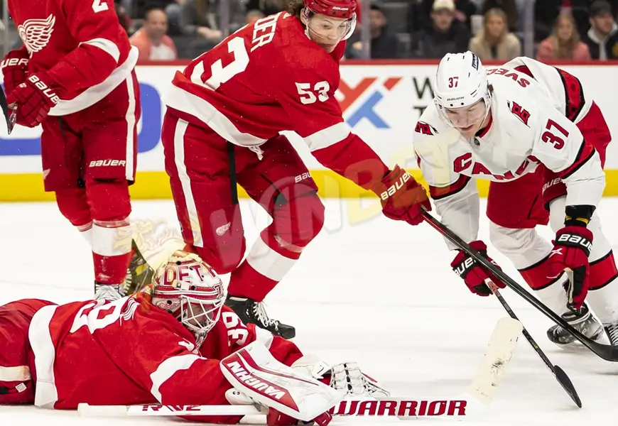卡羅萊納颶風隊(Carolina Hurricanes)